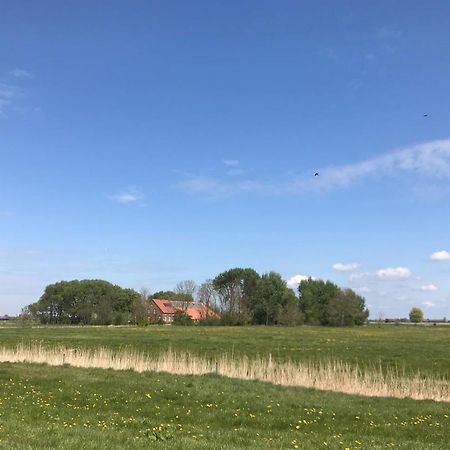 Ferienhof Spiegelhaus Krummhörn Dış mekan fotoğraf