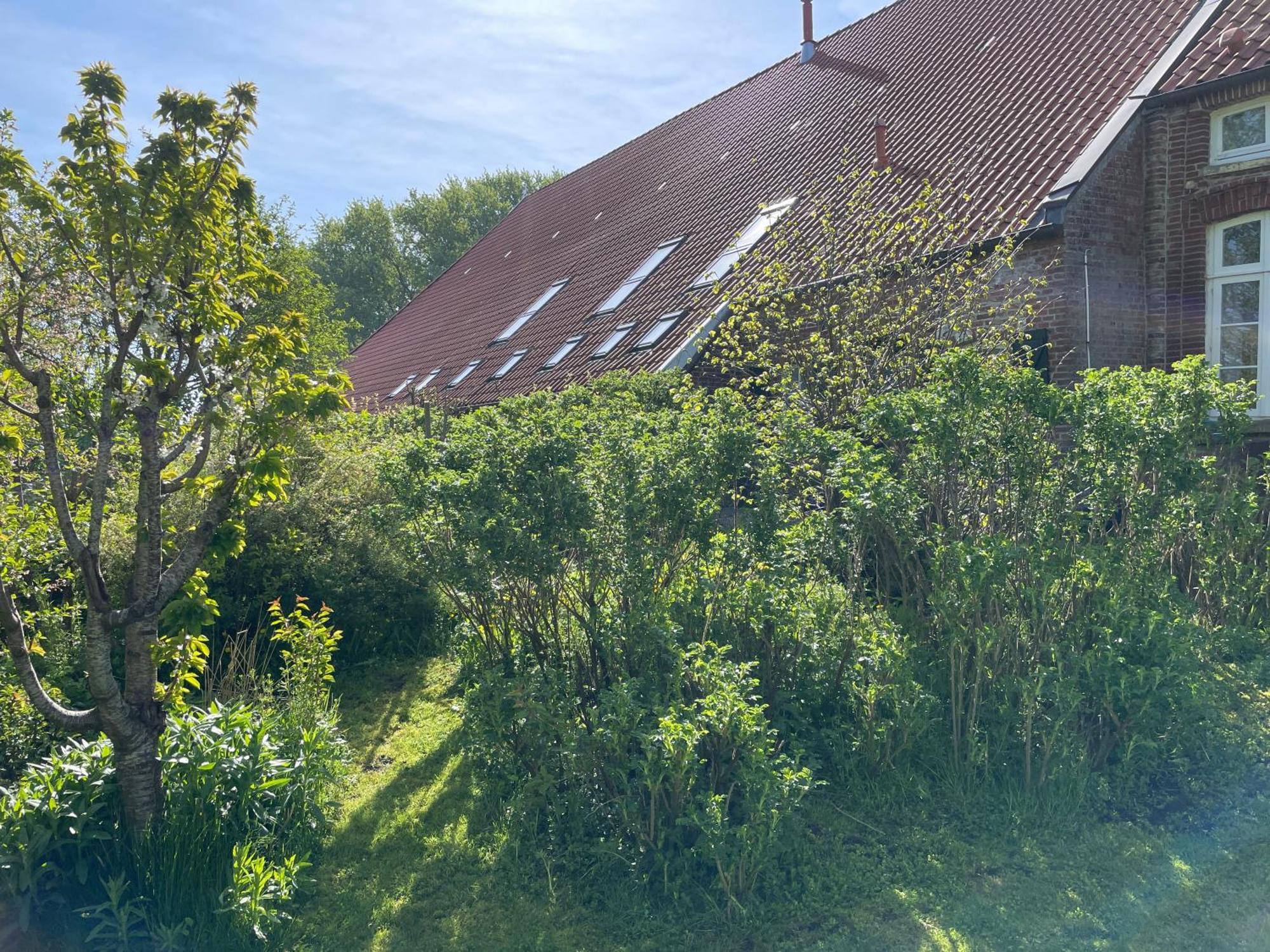 Ferienhof Spiegelhaus Krummhörn Dış mekan fotoğraf
